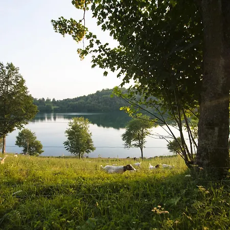 Haus Alleegarten * Bad Bertrich