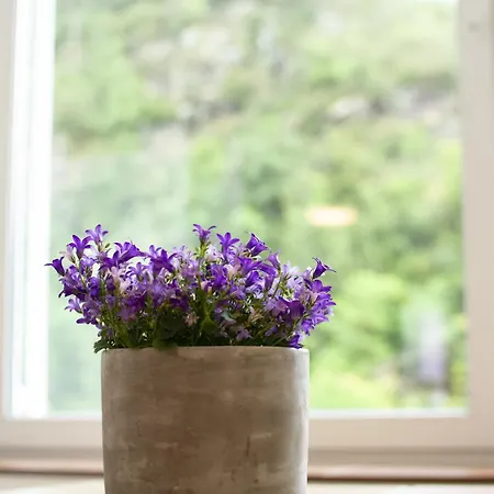 Haus Alleegarten 度假居 *