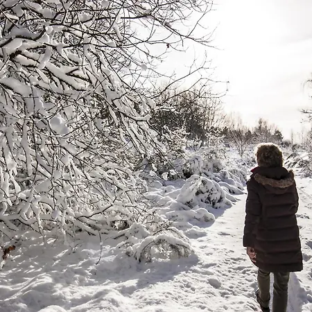 Haus Alleegarten Ferienhaus Bad Bertrich