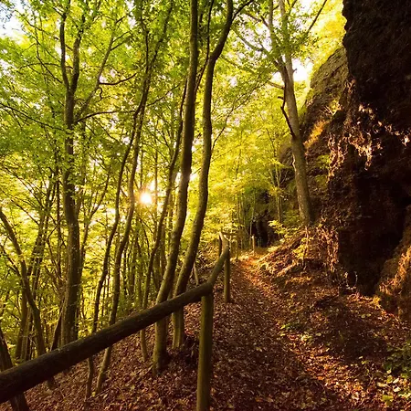 Prázdninový dům Haus Alleegarten Bad Bertrich