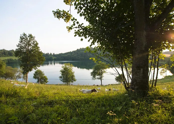 Haus Alleegarten * Bad Bertrich