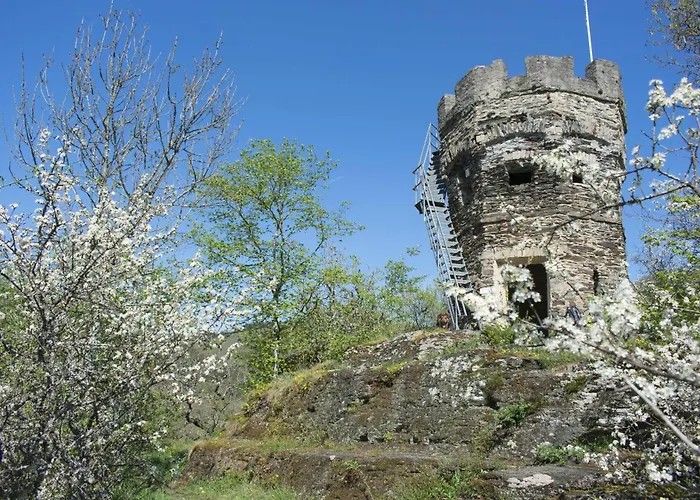 Vakantiehuis Haus Alleegarten Bad Bertrich